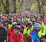 День Велосипедиста, май 2014